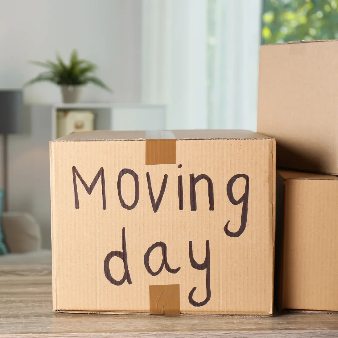 moving day box moving compared
